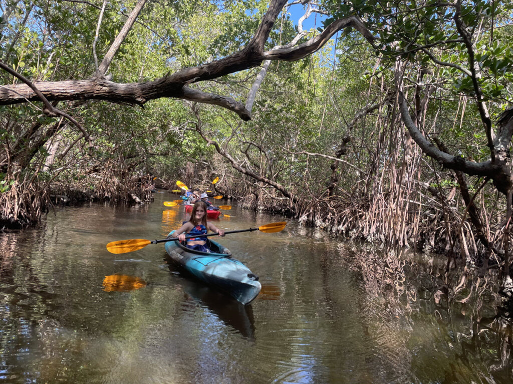 Kayak trip through the Emerson Point Preserve mangrove tunnels with Desoto Kayak Tours